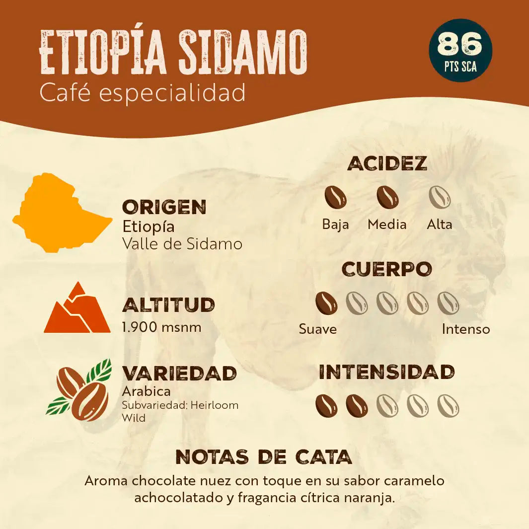 Etiopía Sidamo - 1 kg - Nueva Importación + nuevo envase