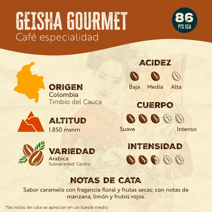 Box Coffee Pot + Geisha Gourmet 1 Kg