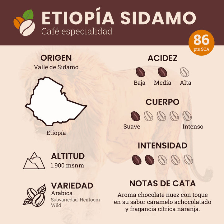 Pack - El Salvador + Etiopia + 2x Colombia - 500 g c/u