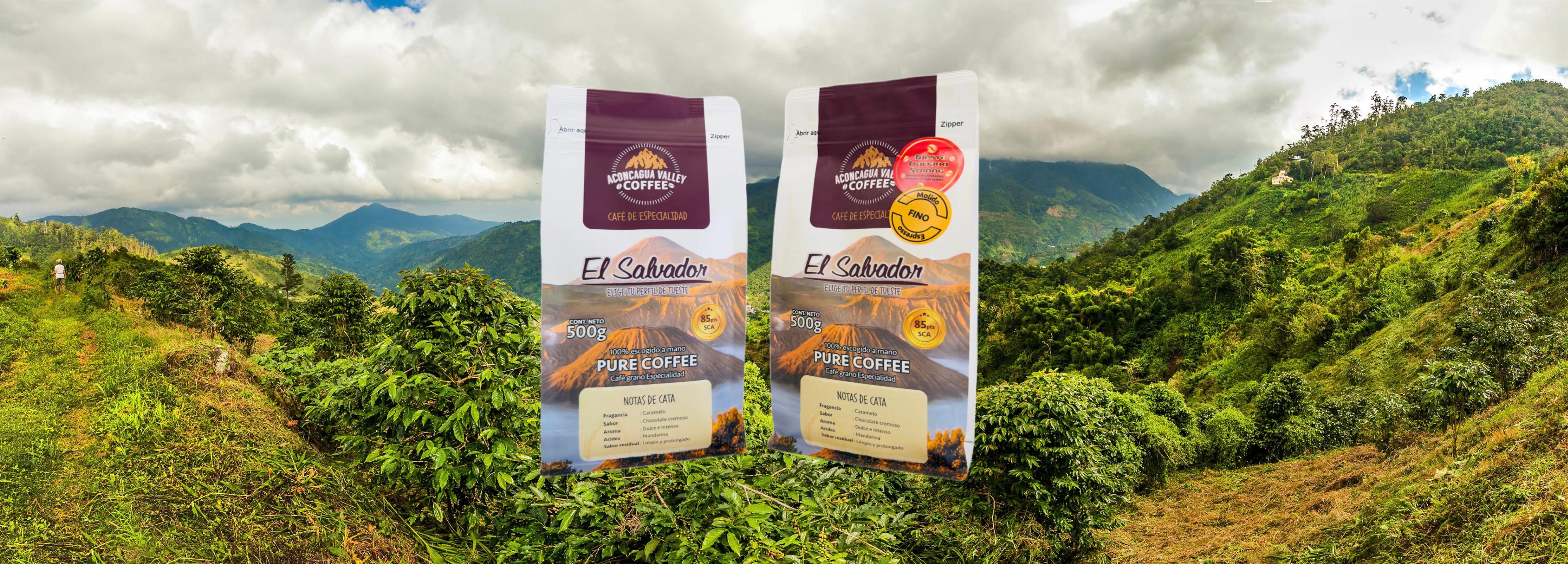 Café Colombia en grano, nuestro producto estrella