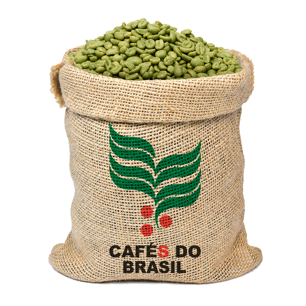 Robusta Conilón - Café Verde